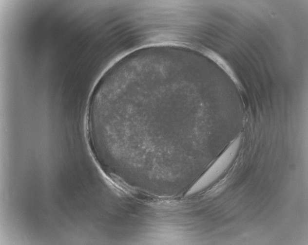 X0000072541101200608111806