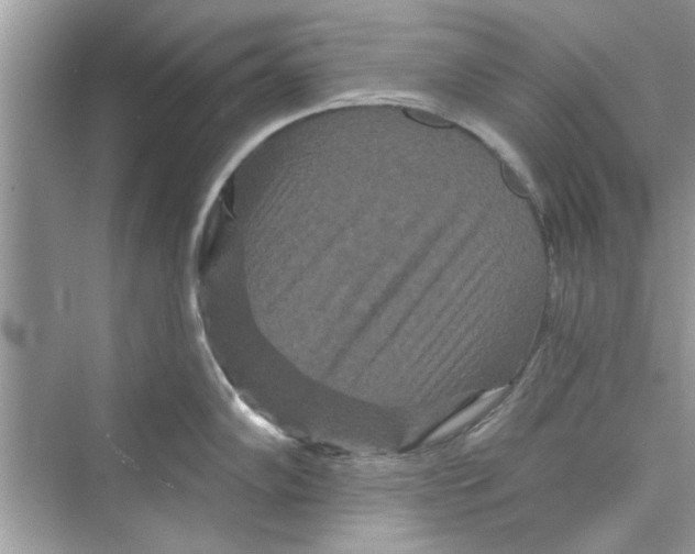 X0000072541102200608111806