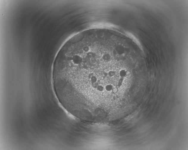 X0000072541103200608111806