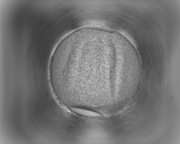 X0000072541104200608111806