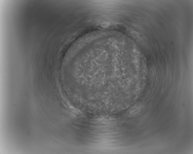 X0000072541105200608111805