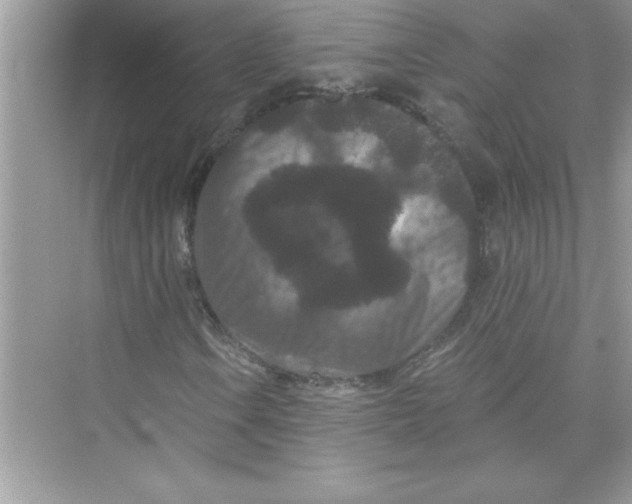 X0000072541106200608111805