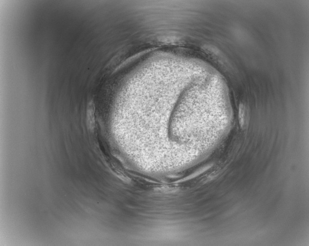 X0000072541107200608111805