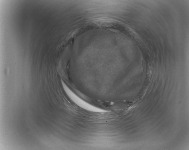 X0000072541108200608111805