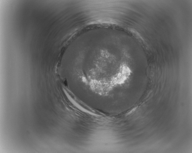 X0000072541110200608111805