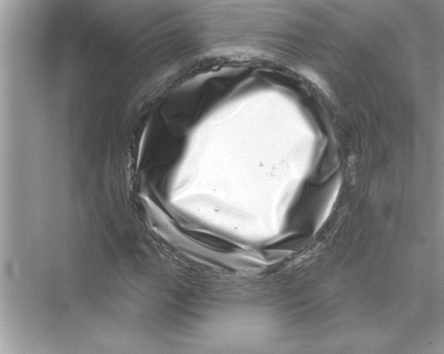 X0000072541111200608111805