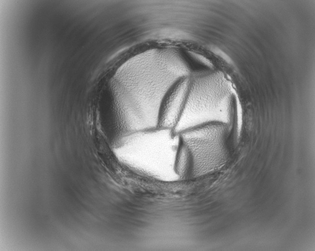 X0000072541112200608111805