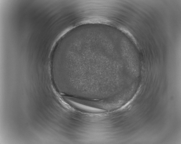 X0000072541114200608111805