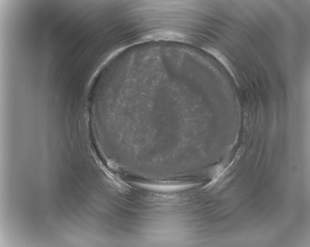 X0000072541115200608111805