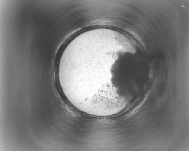 X0000072541117200608111806