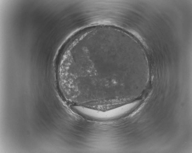 X0000072541118200608111806