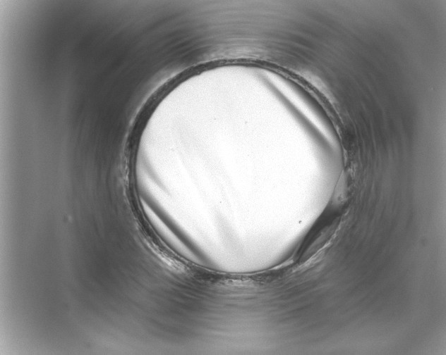 X0000072541119200608111806