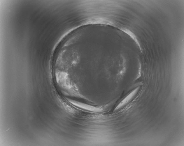 X0000072541120200608111806