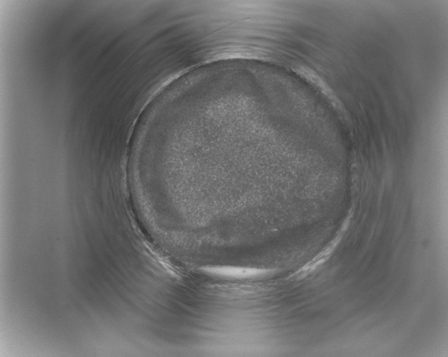 X0000072541121200608111806