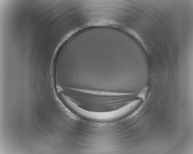 X0000072541122200608111806