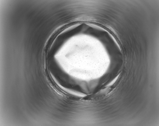 X0000072541123200608111806