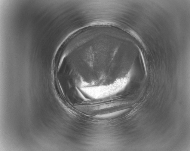 X0000072541124200608111806