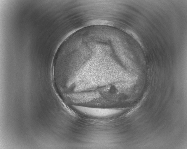 X0000072541125200608111806