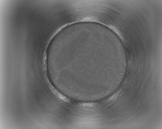 X0000072541126200608111806