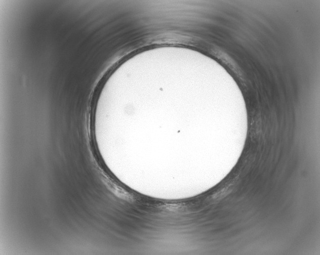 X0000072541130200608111806