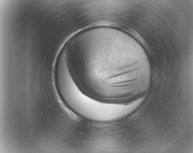 X0000072541132200608111806