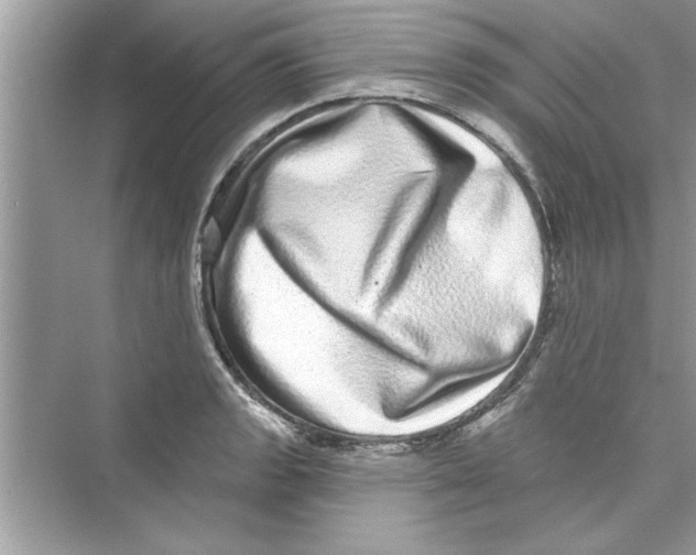 X0000072541133200608111806