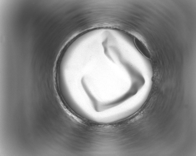 X0000072541135200608111806