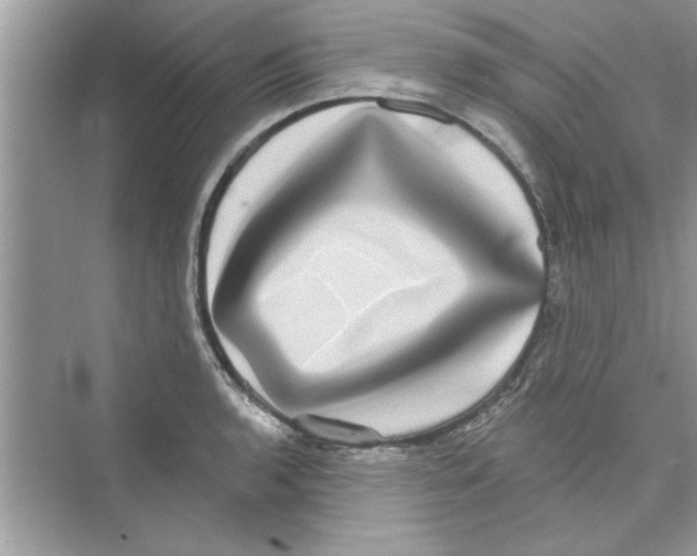 X0000072541136200608111806