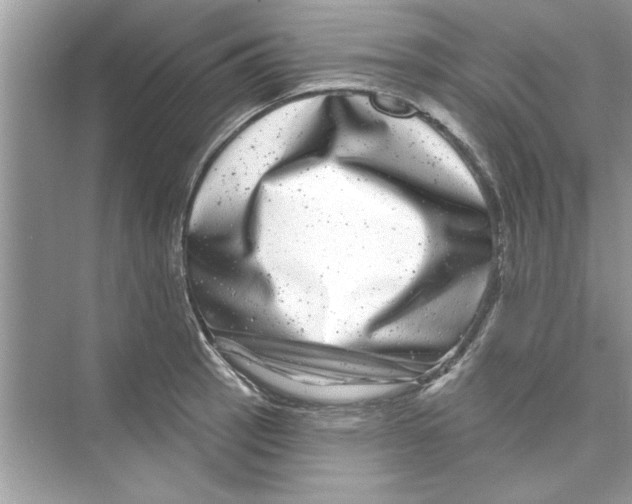 X0000072541137200608111806