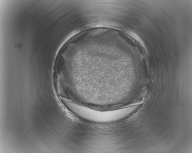 X0000072541138200608111806