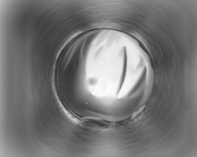 X0000072541139200608111806