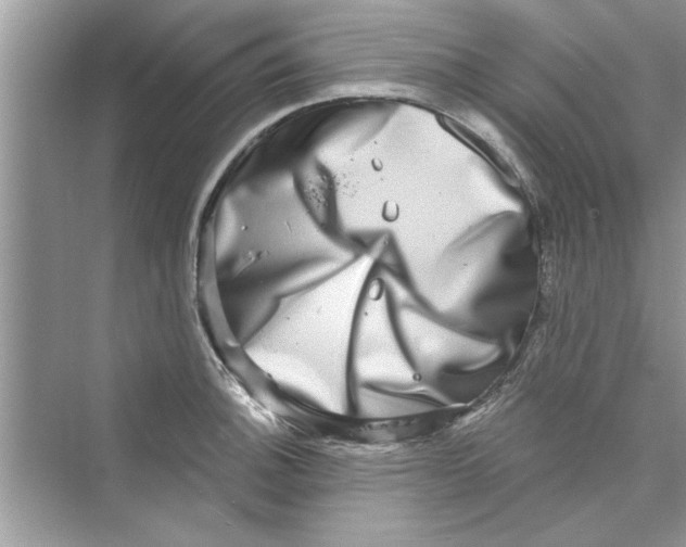 X0000072541140200608111806