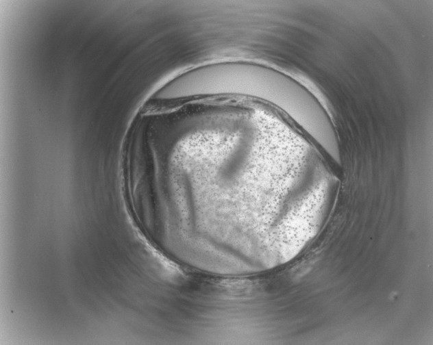 X0000072541142200608111806