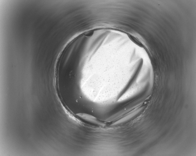 X0000072541143200608111806