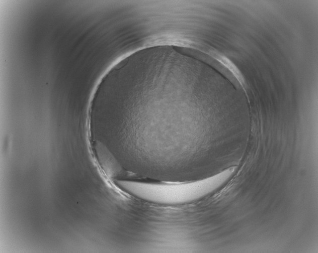 X0000072541144200608111806