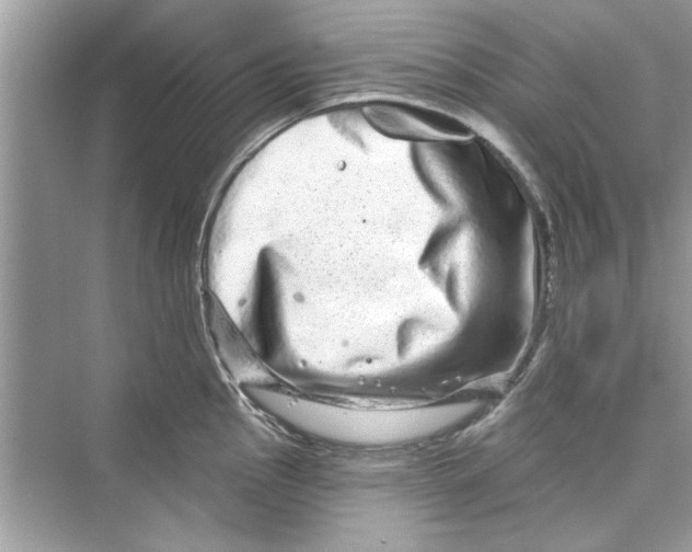 X0000072541145200608111806