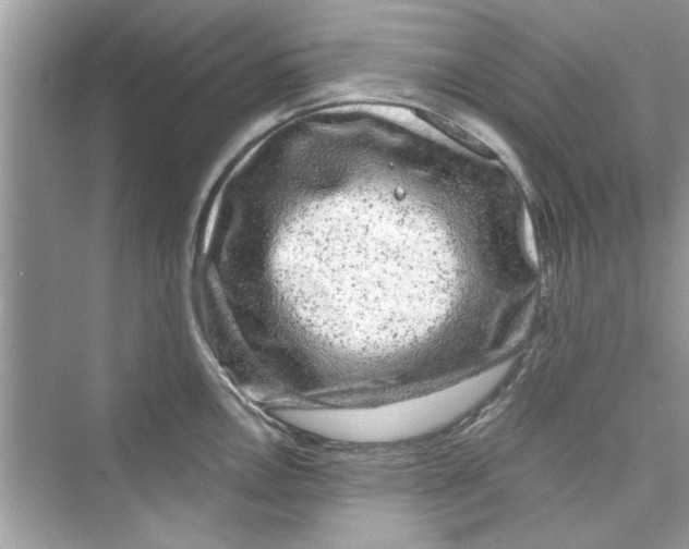 X0000072541146200608111806