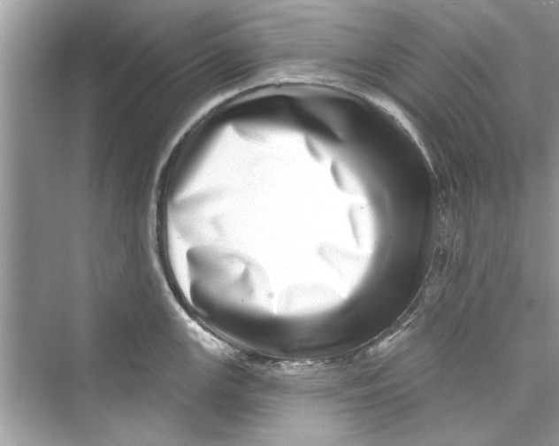 X0000072541147200608111806