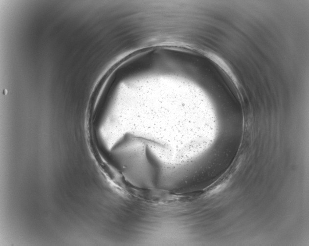 X0000072541149200608111806