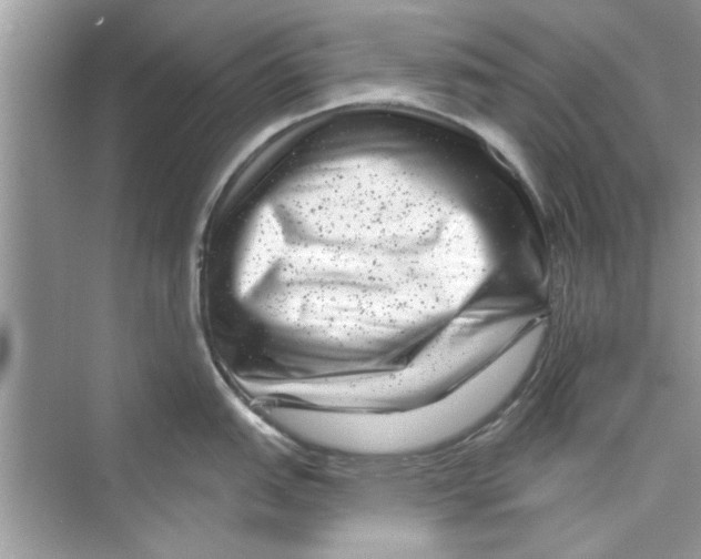 X0000072541151200608111806