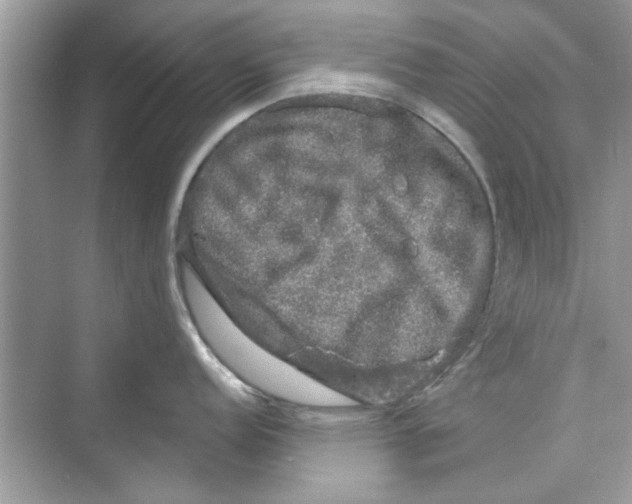 X0000072541152200608111806