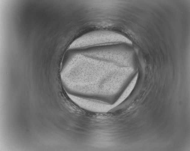 X0000072541153200608111805