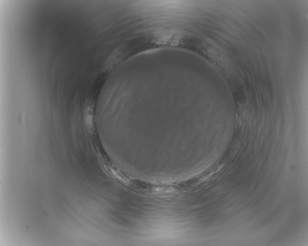 X0000072541154200608111805