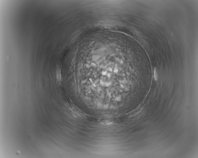 X0000072541155200608111805