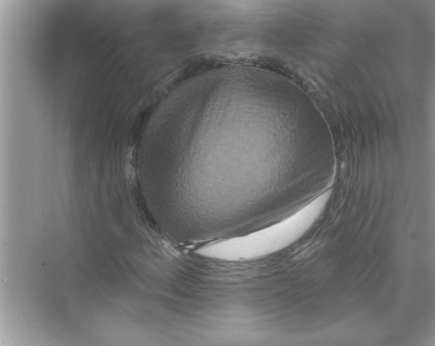 X0000072541156200608111805