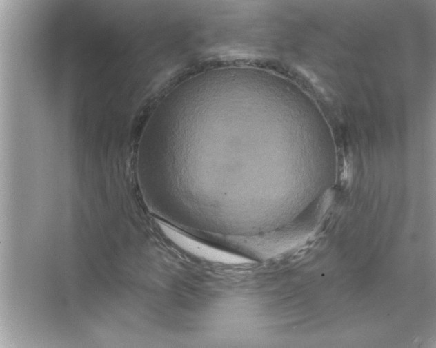 X0000072541157200608111805