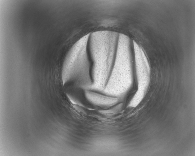 X0000072541158200608111805