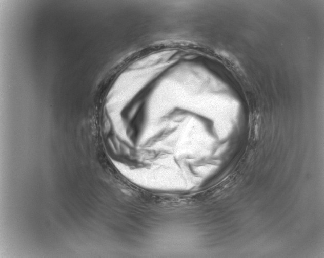 X0000072541159200608111805