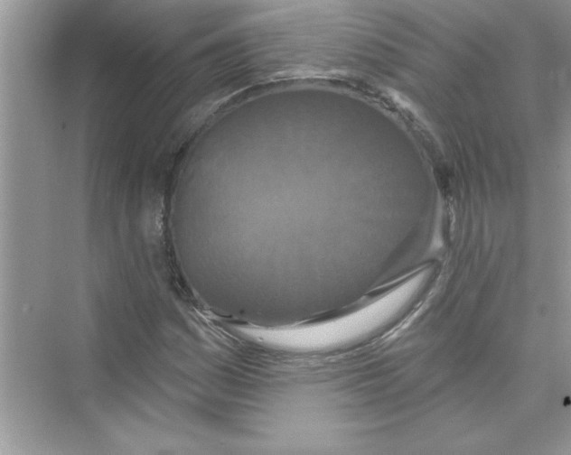 X0000072541161200608111805