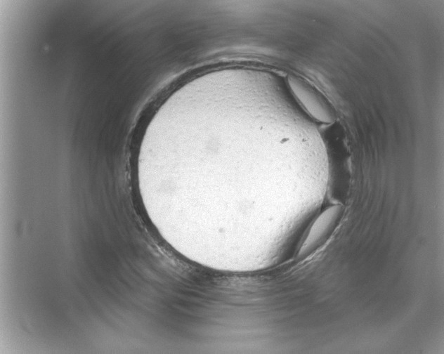 X0000072541164200608111805